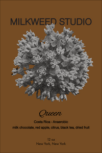 Queen - Costa Rica - Anaerobic