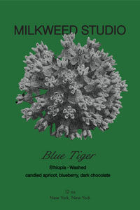 A product label or packaging design for 'Blue Tiger' by Milkweed Studio, featuring a detailed grayscale illustration of a milkweed plant on a solid dark green background with black text.